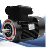 YY/YL series single-phase motor, 0.12KW-2.2KW, 220V