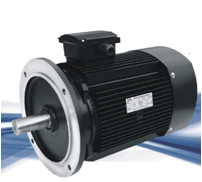 YX3 series high-efficiency three-phase asynchronous electric motor (H80-225)