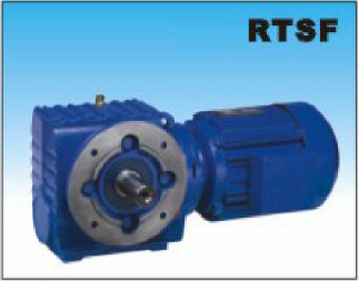 RTSF Helica-Worm Geared Motor